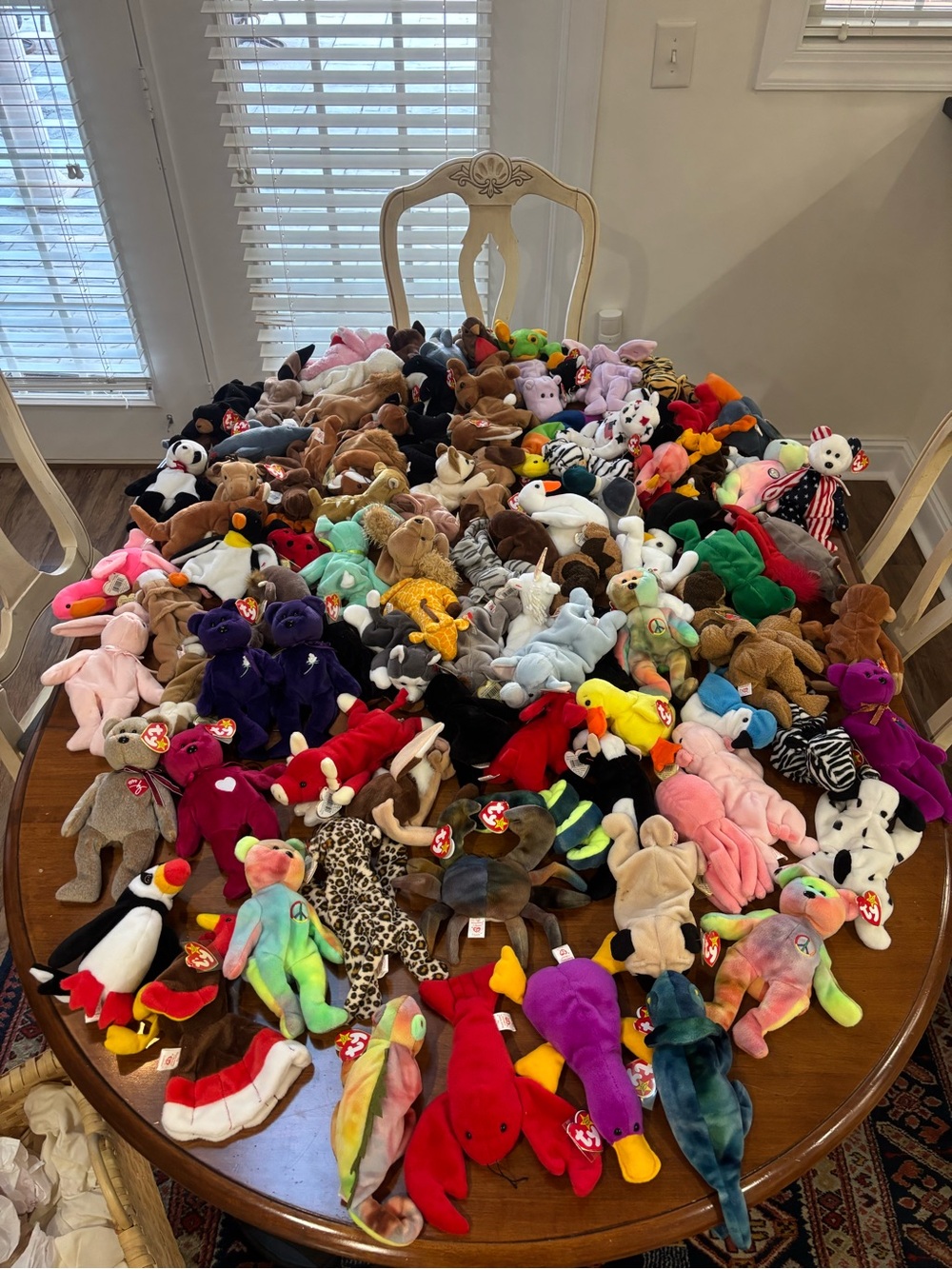 Ty Beanie Babies Large Multicolor Plush Lot - Bright Rainbow Assortment